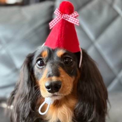 satumico's profile picture. 清水エスパルスサポ🍊(1.28.36.66) 🐮( 10 )🐻(19)サポしております。 いつもはS席最前列におります。 まだまだ未熟者ですがよろしくお願いします。無言フォロー失礼します。出会いは求めてない！