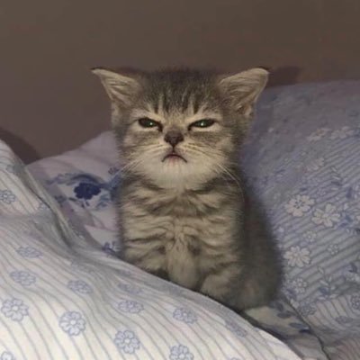 Hang1st's profile picture. An eye for an eye.