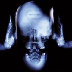 JammerDHammer's profile picture. 