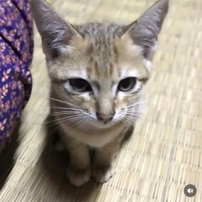 Yoshi1051161's profile picture. ขอให้ตัวเองมีความสุขในทุกๆวัน 😊🩵🤍