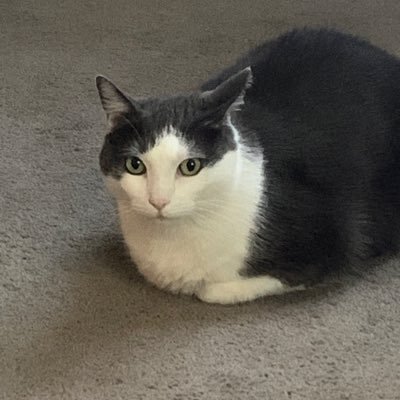 Bhoomi327252's profile picture. 