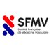 SFMV (@lasfmv) Twitter profile photo SFMV (@lasfmv) Twitter profile photo