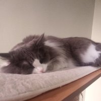 S (@s7634350876877) 's Twitter Profile Photo S (@s7634350876877) 's Twitter Profile Photo
