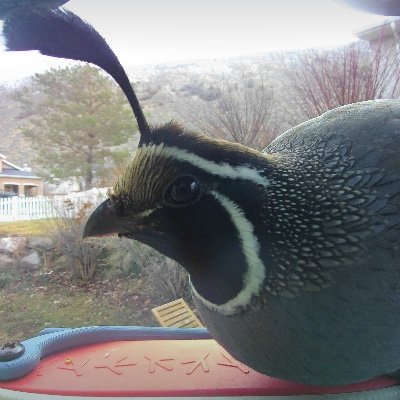 JeanWeatherwax's profile picture. 