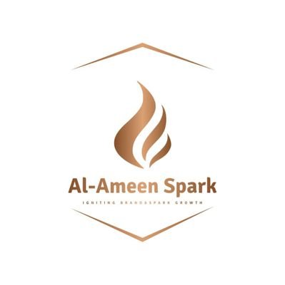 AmeenSpark's profile picture. Empowering businesses with innovative digital marketing solutions. Let's spark change through strategy, creativity, and results-driven approaches.