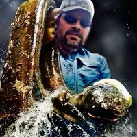 Mick Rhoads (@mickrhoads162) 's Twitter Profile