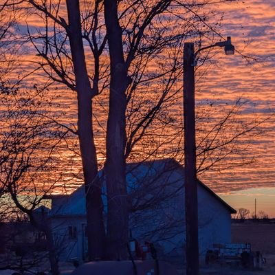 judy_lorenzen's profile picture. Poet, writer, and teaching artist