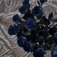 해랑 (@underblank_0) 's Twitter Profile