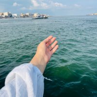 ✨🤍 (@mennaelshafei5) 's Twitter Profile