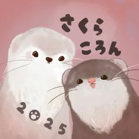 さくらところん (@saku_koron111) 's Twitter Profile Photo さくらところん (@saku_koron111) 's Twitter Profile Photo