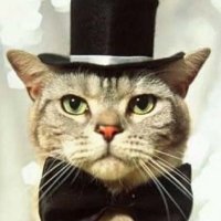 Nerdgirl (@britnerdgirl) 's Twitter Profile