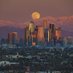 City Section News (@lacitysection) Twitter profile photo City Section News (@lacitysection) Twitter profile photo