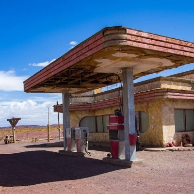 shipatriz's profile picture. 