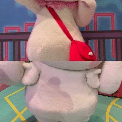minnt_spl's profile picture. 18↓学生 未成年🚺/ピューロのパレ・ショーがすき/ウィッシュミーメル/シナモロール