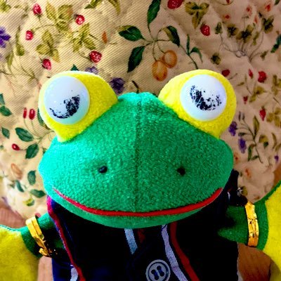 ヒトのようなカエルYoutuber。と言いながら不定期、Twitterは毎日なう。シロクマのまっちゅ🐻❄️によく襲われる。なので早めにチャンネル登録しましょう❣️ ☆いえい☆ #ぬいぐるみ #ぬい撮り #かえる #カエル