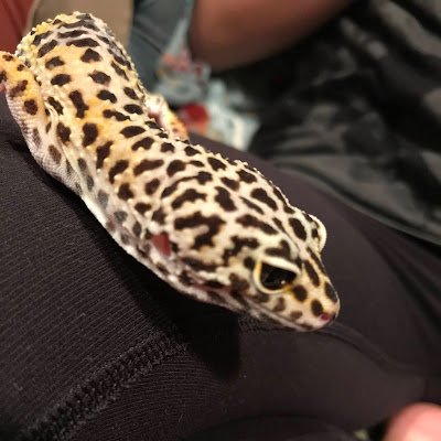 gekimaro1500's profile picture. 現在人生色々模索中！