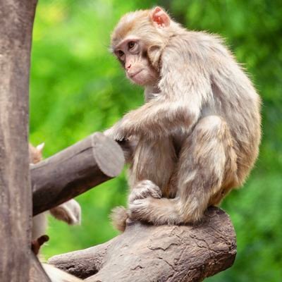 astroboi2024's profile picture. 😏😅🤤✨😇😘😂💋🤭🤗😄