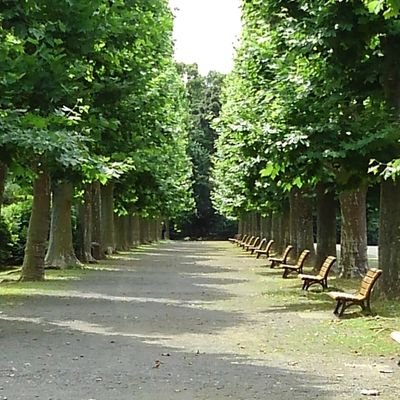 m_modomo's profile picture. わたしを生きさせてくれているのは、犬たち、鳥たち、そしてたくさんの子どもたち。
どうもありがとう✨
少々こじれ気味の不登校・引きこもりの子どもたちの傍らにいます。
国際モンテッソーリ教師◇無言フォロー失礼します