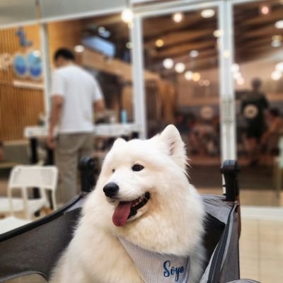 RTae10's profile picture. Just a person