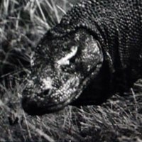 las tres o (@ooodisea) 's Twitter Profile Photo las tres o (@ooodisea) 's Twitter Profile Photo