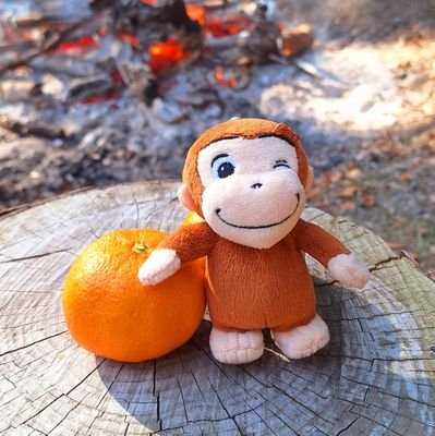 しろさんのプロフィール画像