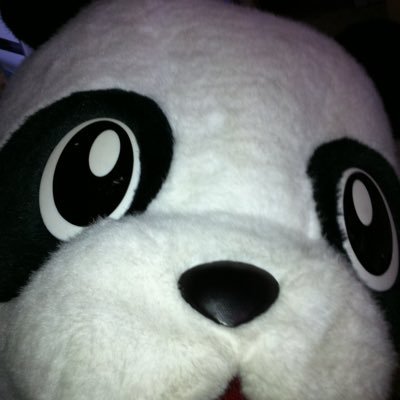 0Id37's profile picture. どーでもいいな
