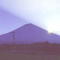 conta (@cococonta) 's Twitter Profile