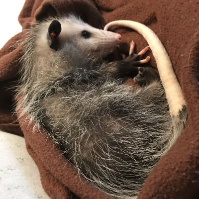 Silver7414さんのプロフィール画像