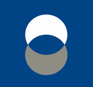 Discretionary investment manager research for professional wealth advisers - powered by Asset Risk Consultants