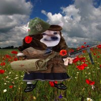 Becky - Partisan fella 🇺🇦🎗️ (@boobookbooze) 's Twitter Profile