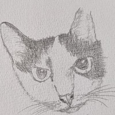 静かにつぶやくさんのプロフィール画像