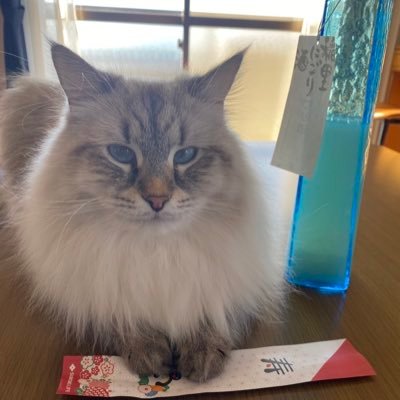 奈良県産ヤマトポークを中心に、厳選した 国産豚素材のみのスープ。奈良で生まれたヤマト豚そばの専門店 。駐車場は梅乃家さんと共有で約10台。ひとめで千里の遠くまで見渡されることを 意味する一望千里から、絶景を一望した 感動を与えたい気持ちで一望と名づけました。