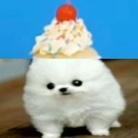 repost central (@barcodebrownies) 's Twitter Profile