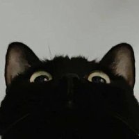 Winkkiki_ʕ•ﻌ•ʔ ݁˖ (@winkkiki_space) 's Twitter Profile Photo Winkkiki_ʕ•ﻌ•ʔ ݁˖ (@winkkiki_space) 's Twitter Profile Photo