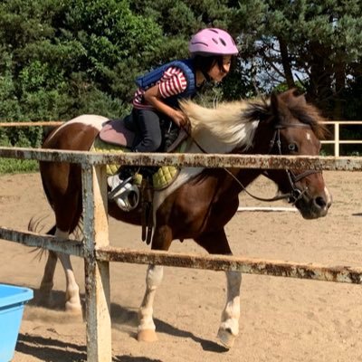 レーベンスティール待望のぬいぐるみ🥹🫶💗 今回から赤字で転売