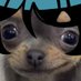 QUM🔞 (@c00mbrain) Twitter profile photo QUM🔞 (@c00mbrain) Twitter profile photo