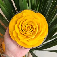 Củ Cải Nâu 👋 (@cucainau) 's Twitter Profile