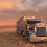 cowbroker's profile picture. Cow-calf and stockers along Highway 20 in the NW corner of Nebraska. Everything ag, as seen from behind a cow. KCØZVH
