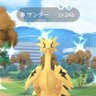 Lapras285's profile picture. ⏩#ガラルフリーザー 27エンカウント2️⃣ゲット
⏩#ガラルファイヤー 49エンカウント5️⃣⑴ゲット(✨1️⃣)🆕
⏩#ガラルサンダー 45エンカウント7️⃣ゲット(✨2️⃣)