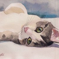 Fia (@fiaheisenberg) 's Twitter Profile