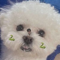 おにく (@agyu____o29) 's Twitter Profile Photo おにく (@agyu____o29) 's Twitter Profile Photo