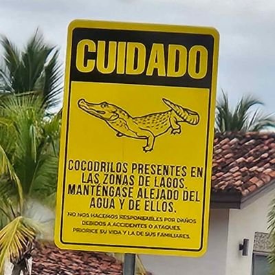 _saltylizard_'s profile picture. 🦋🧸💙🧸🦋