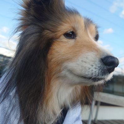 Kirimaruさんのプロフィール画像