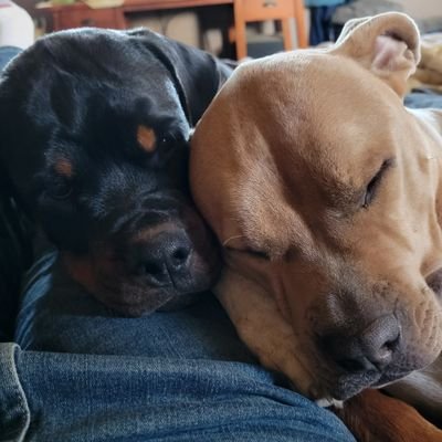estes944183's profile picture. 