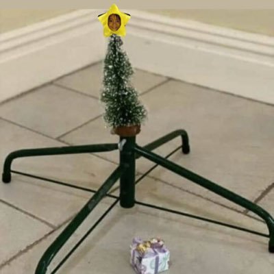 dahynguin's profile picture. life addiction: BINI&TWICE🫡