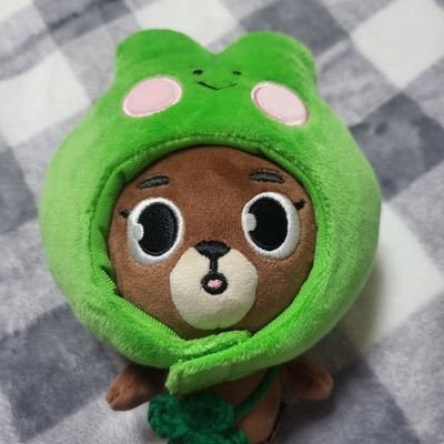 DAY6 FOUREVER💚
🐻🦊🐰🐶
