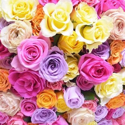 jXzXK3ZgSdNgn27's profile picture. 北海道住み🗾✨
美味しい物食べに行ったり、お散歩🐾、ポムポムプリン🐶🍮・可愛いものが好きです😃🍽🧁
よろしくお願いします🍀
仲良くしてください😊