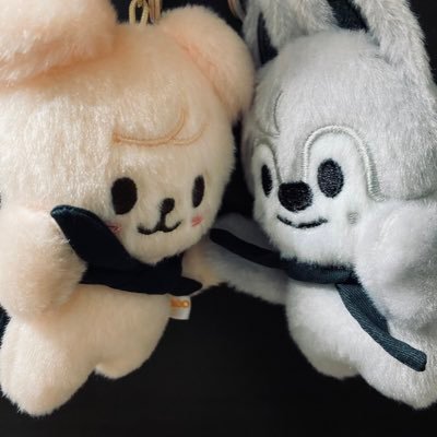 昭和STAY/関東/🐶🐺ペン/皆さんと仲良くしたいです💖 4/28べルーナ💘 11/17東京ドーム💘 #大人stay