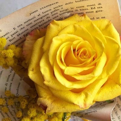 自身と家族の安全のためにTwitter始めました✨集団ストーカー被害者になって丸5年です。信じがたいことですが、この平和に見える日本の水面下では、個人をターゲットにした【組織的な監視つきまとい嫌がらせ】による深刻な人権侵害、自殺強要ビジネスが広く蔓延してます。警察が全く動かないことを知って下さい🌹ブロック多めです⚠️