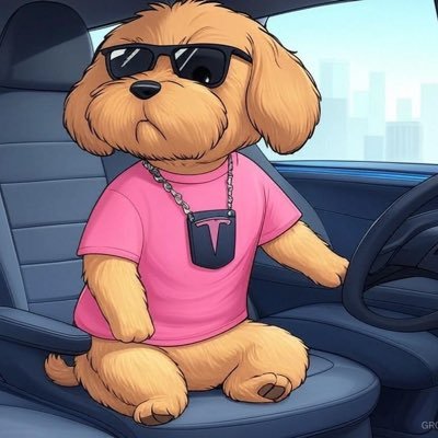 Hi, I’m Mango. I’m a cute mini Labradoodle, BTC evangelist since 2012, TSLA shareholder since 2020, shoe fanatic, and a fantasy basketball addict. Let’s talk.
